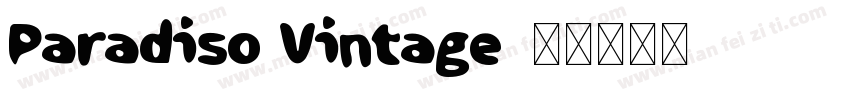Paradiso Vintage字体转换